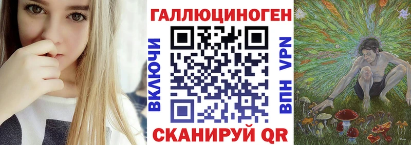 где найти   Переславль-Залесский  Галлюциногенные грибы Psilocybine cubensis 