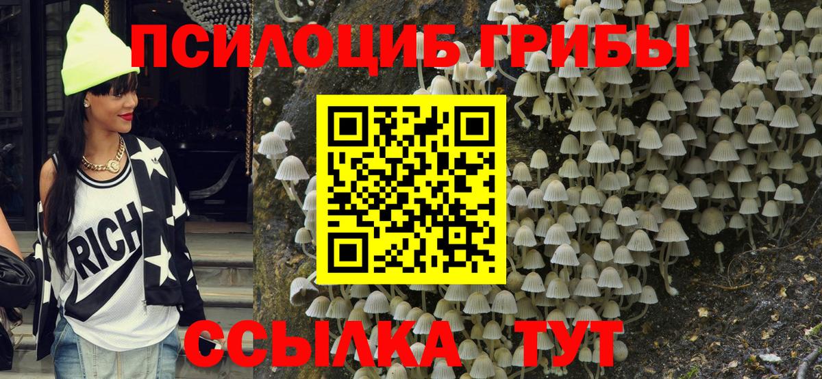 Псилоцибиновые грибы GOLDEN TEACHER Переславль-Залесский