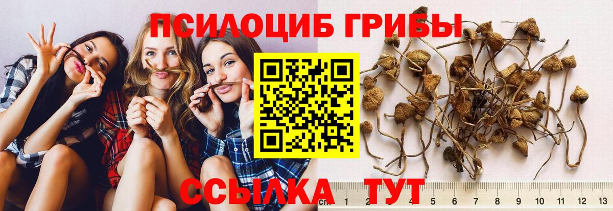 Галлюциногенные грибы мухоморы  Переславль-Залесский 