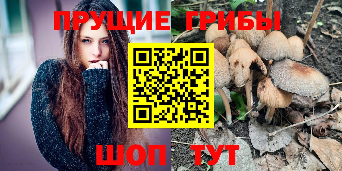 Переславль-Залесский  Псилоцибиновые грибы мицелий  Вход с VPN 